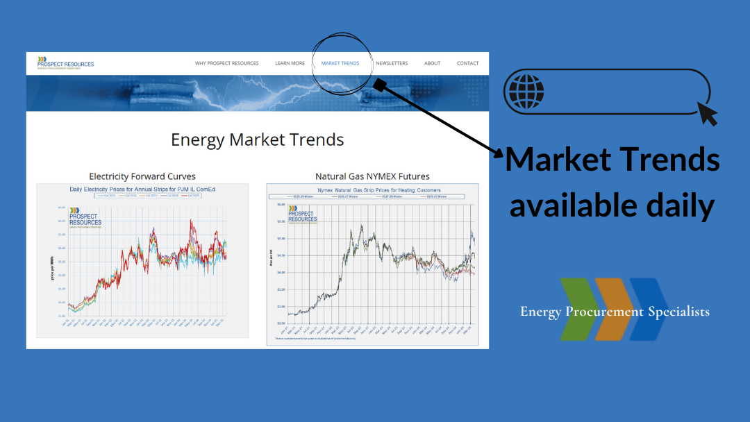 Market Trends website 2